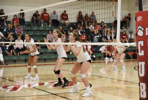 Mayfield Senior students in action during their volleyball home game.