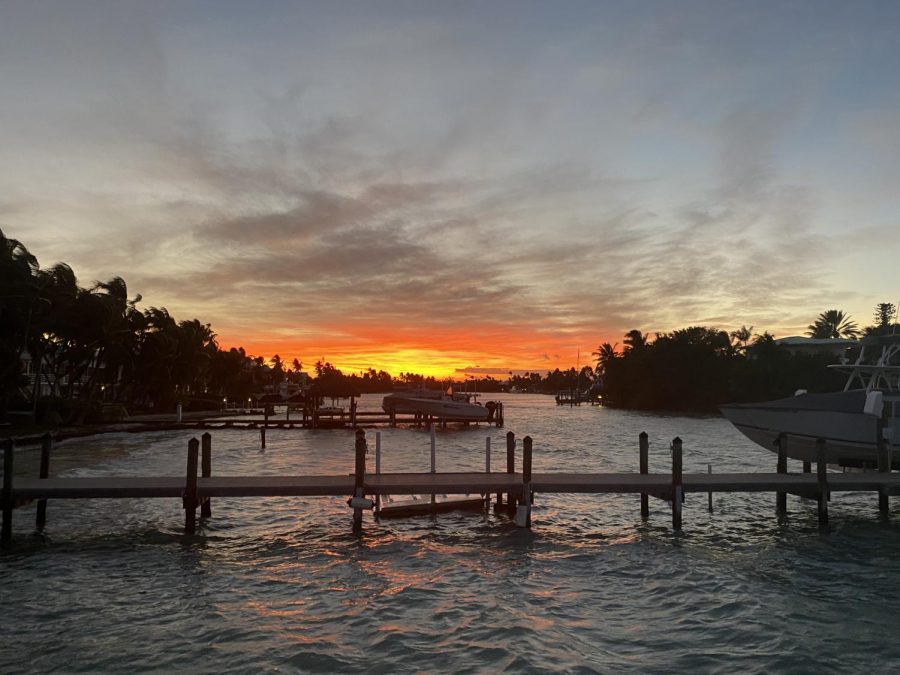 Florida Sunset. Photo courtesy of Avalon Dela Rosa 22. 