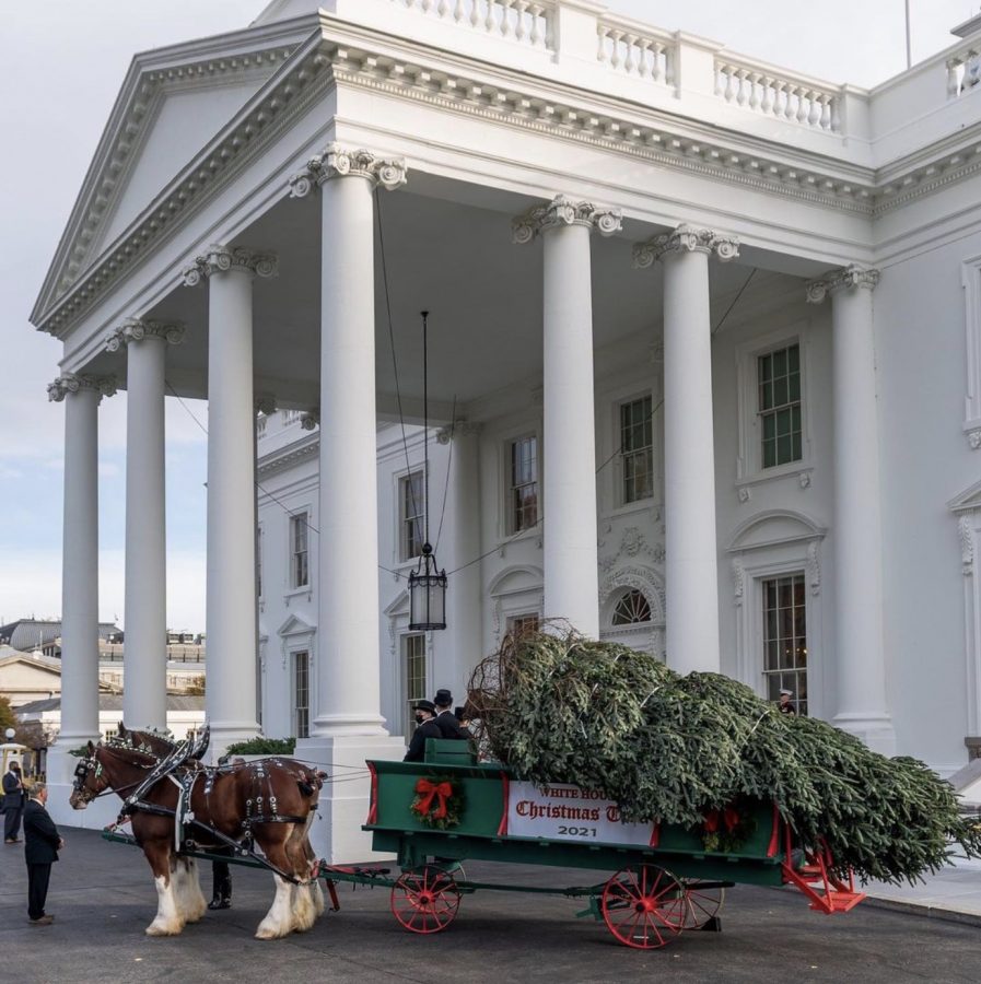 A Very Merry White House Christmas Review