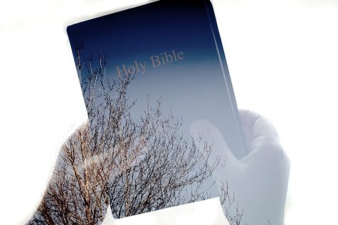 Let It Shine: The Bible in One Year