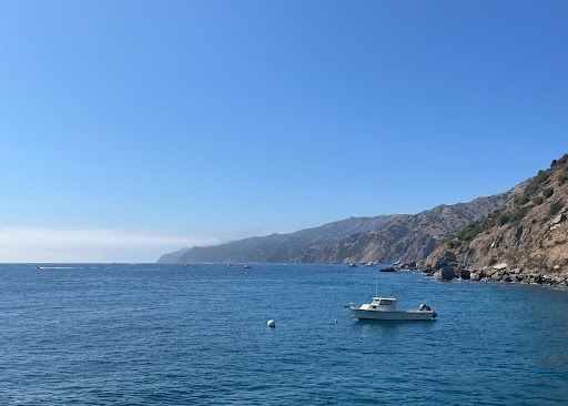 The coast of Catalina Island holds gorgeous views of remarkably blue water, but devastation lies beneath it. Photo Credit: Sophie Bilu. 
